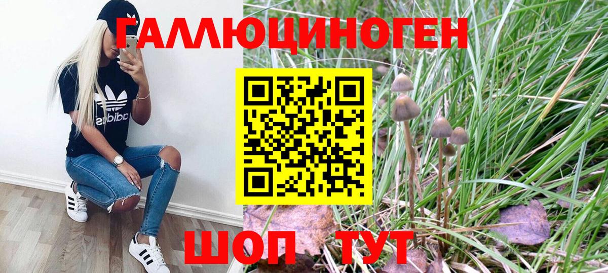Псилоцибиновые грибы Magic Shrooms  Вход с VPN  Галлюциногенные грибы GOLDEN TEACHER  Свободный 